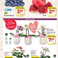 Antevisão Folheto ALDI Promoções a partir de 5 fevereiro p10021.jpg